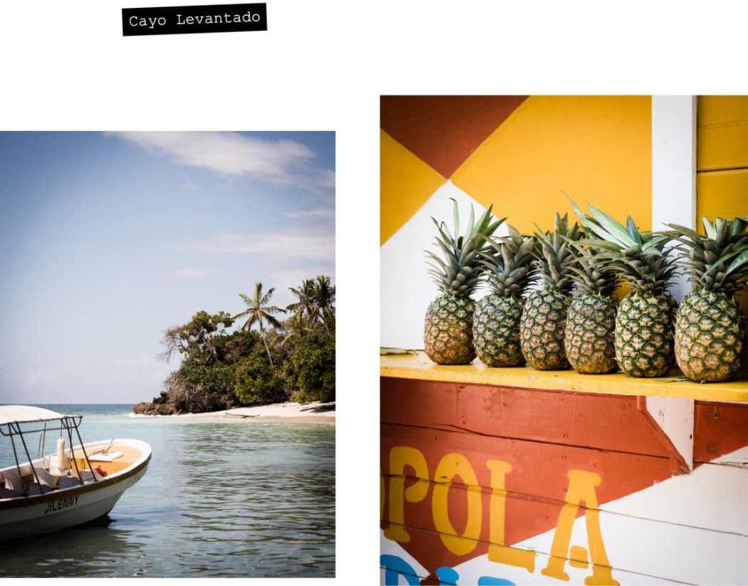 république dominicaine, samana, las terrenas, caraïbes, los haitises