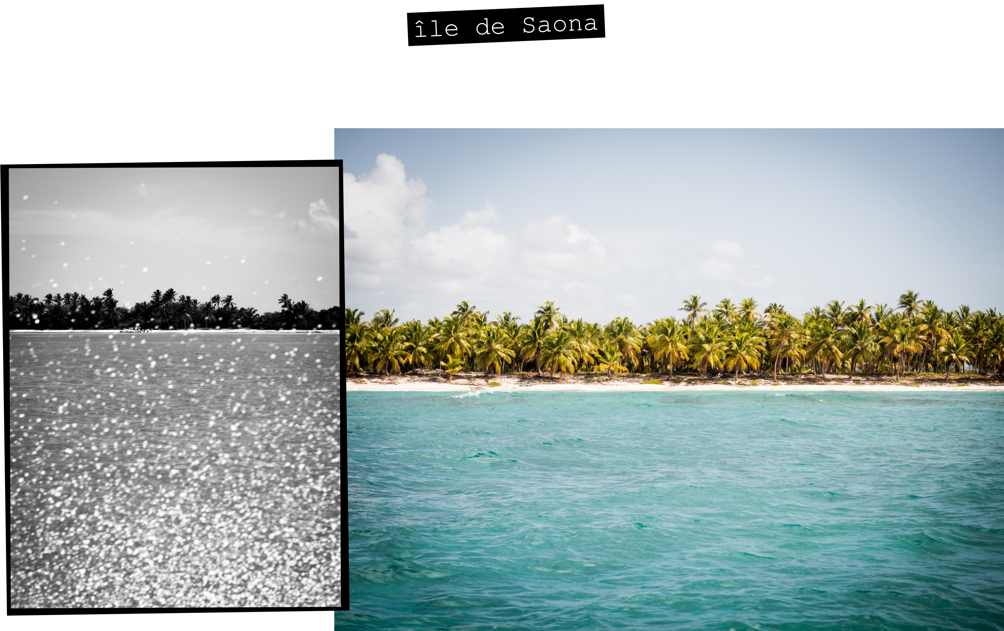 plage caraibes -photo de la mer des caraibes-plage saona republique dominicaine