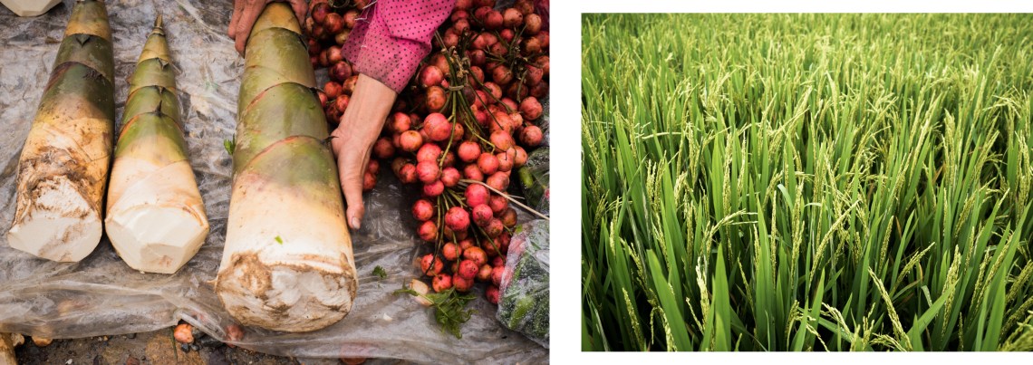 dzao rouges - découvrir le nord du vietnam - ethnies minoritaires