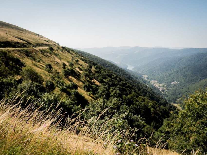 alsace, vosges, route des crêtes, montagne
