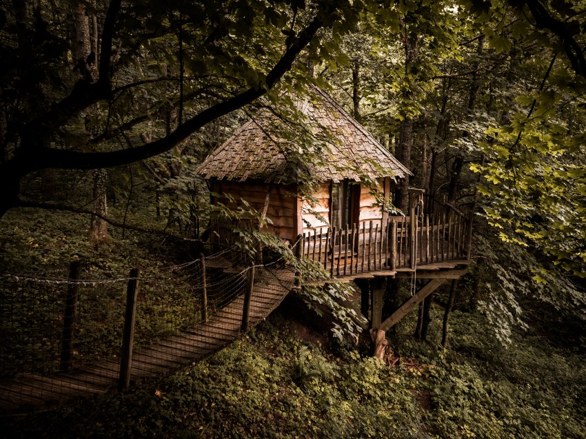 cabane dans les arbres en Alsace - pays de Ribauvillé et Riquewhir