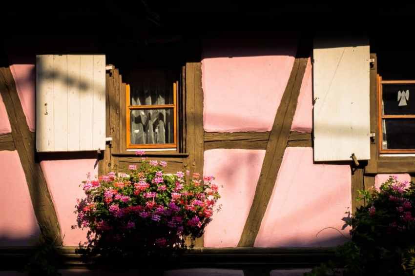 alsace, vosges, route des vins, vignobles, eguisheim 