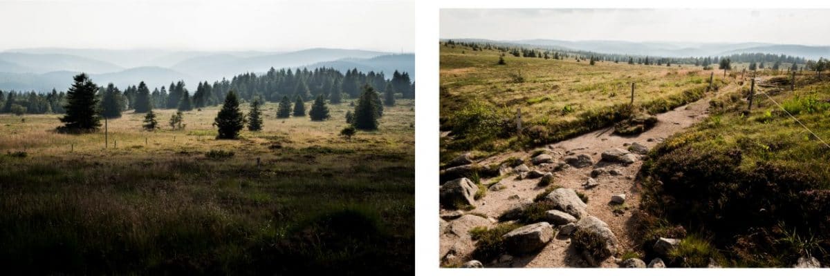 alsace, vosges, route des crêtes, montagne