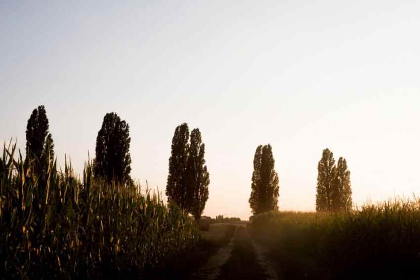 la route des cretes-voyage en alsace-alsace road trip-photos alsace vosges