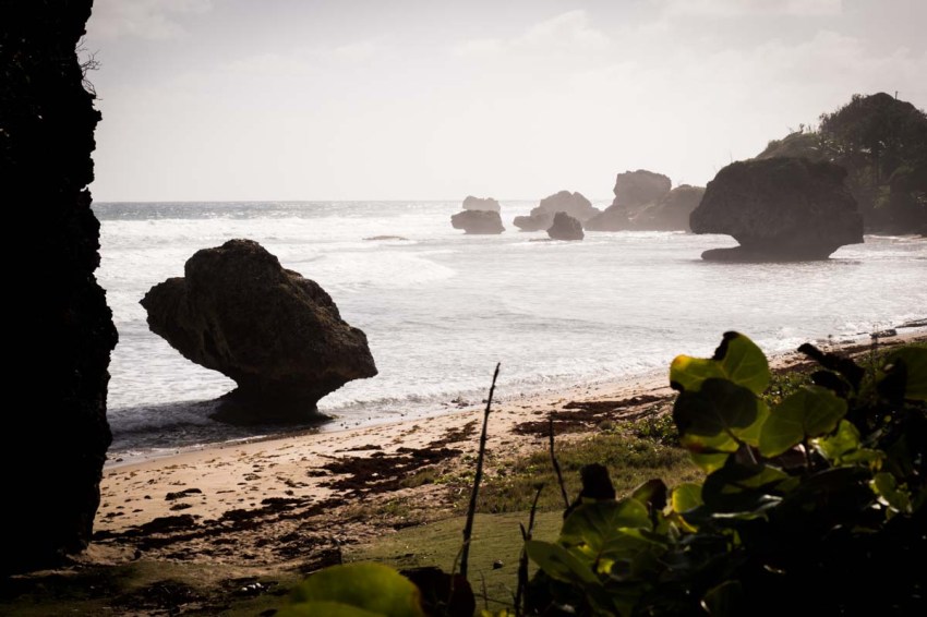 découvrir la Barbade - bathsheba