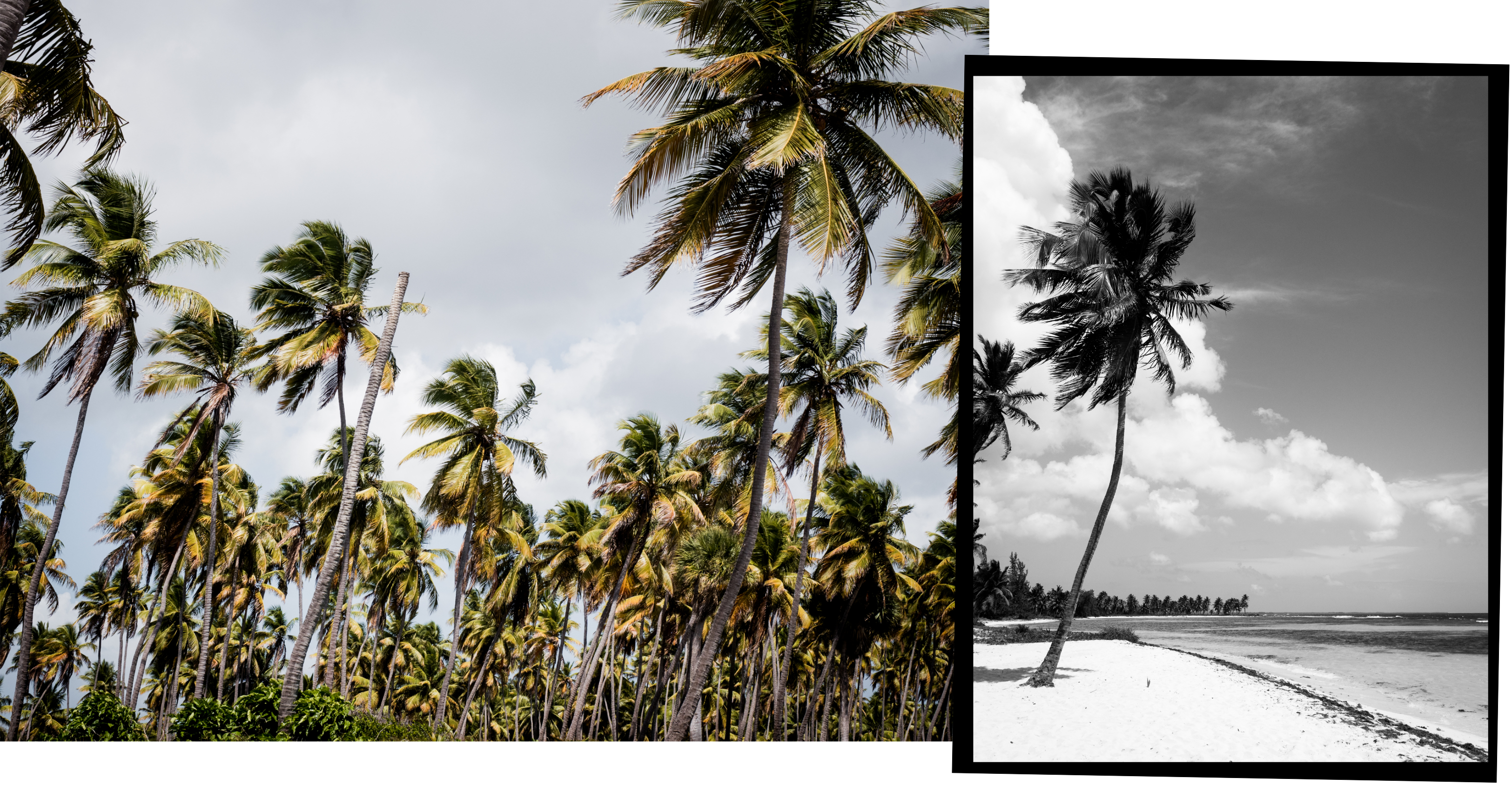 voyage caraibes-saona republique dominicaine - excursion en bateau à saona- plages paradisiaques- caraïbes