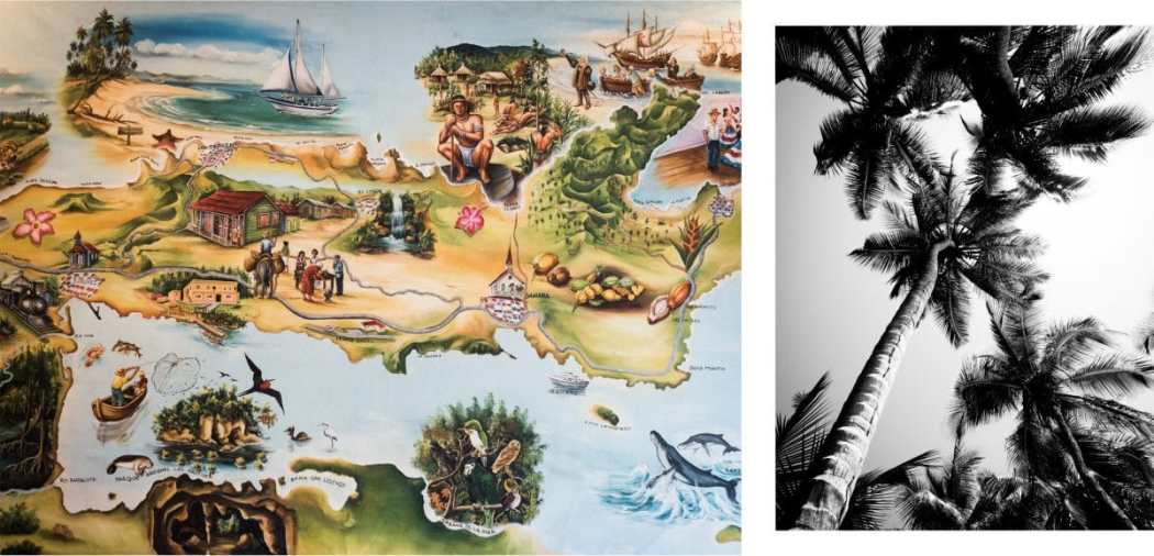 république dominicaine photos - péninsule de samana dans les caraïbes - préparer son voyage en république dominicaine
