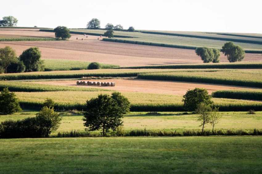 Alsace photos-photos d alsace-campagne alsacienne