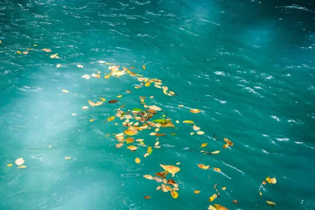 cascade le saut d acomat-guadeloupe foret tropicale-rivière d acomat & saut d acomat