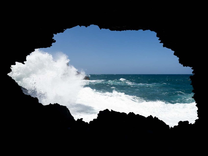 visiter la barbade, grottes, animal flore cave