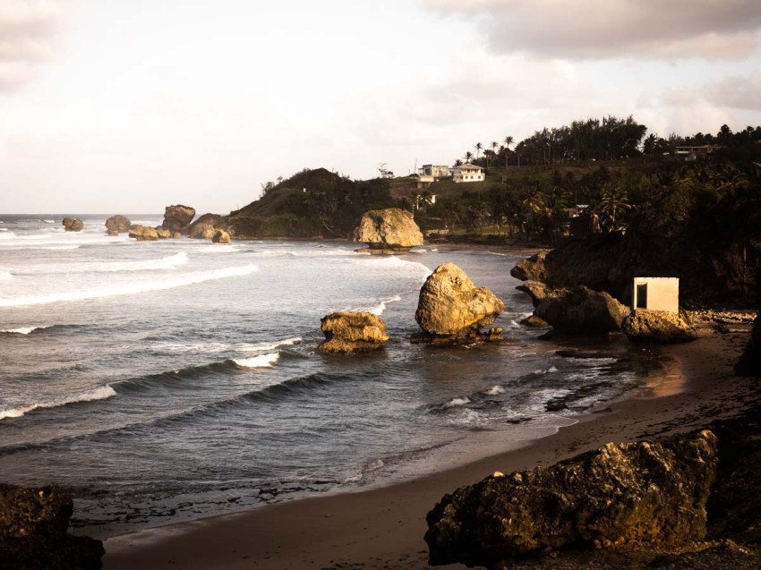 découvrir la Barbade
