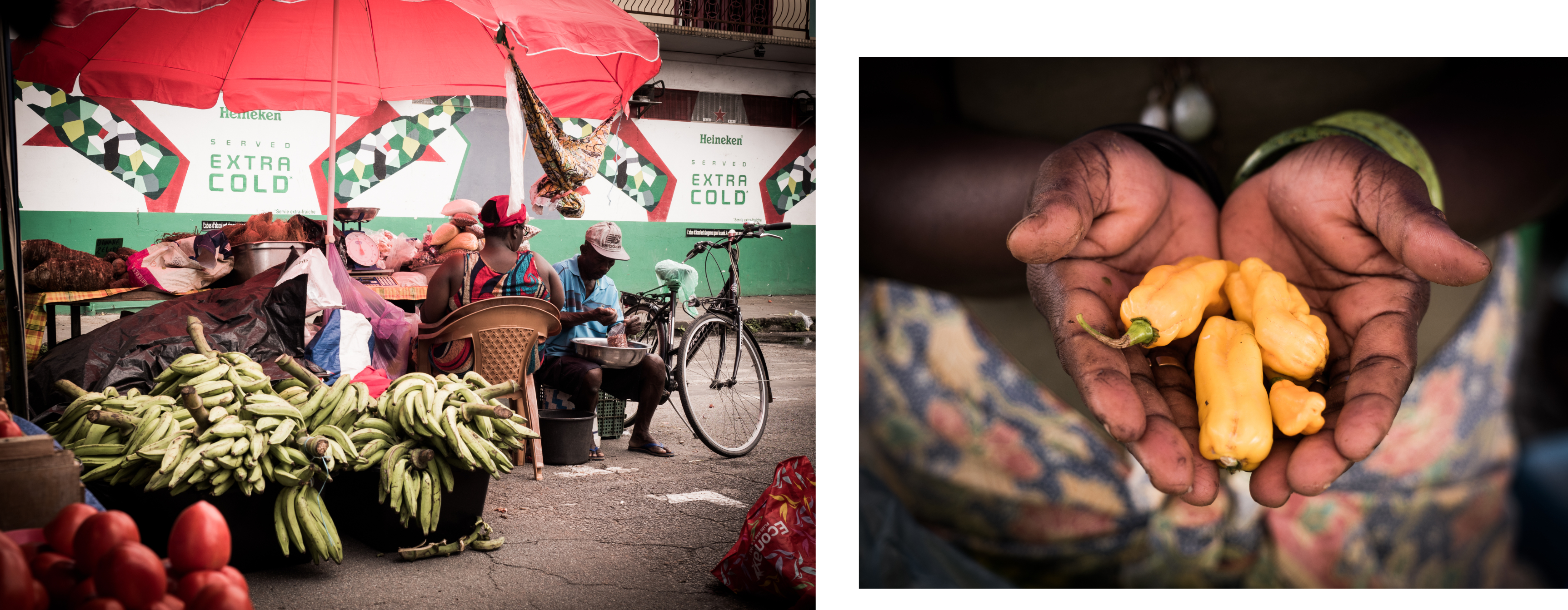 guyane française voyage - photo guyane française - voyage en amazonie