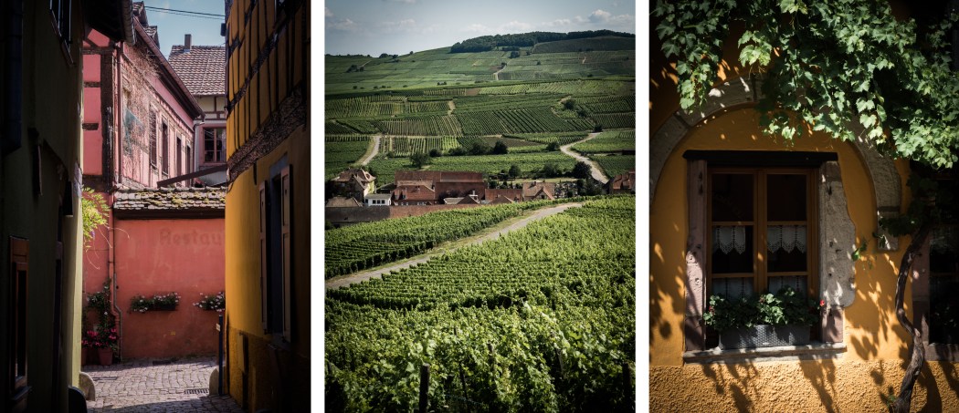 que faire en Alsace - pays de Ribeauvillé et Riquewihr - la route des vins en Alsace - ou dormir dans une cabane dans les arbres en Alsace