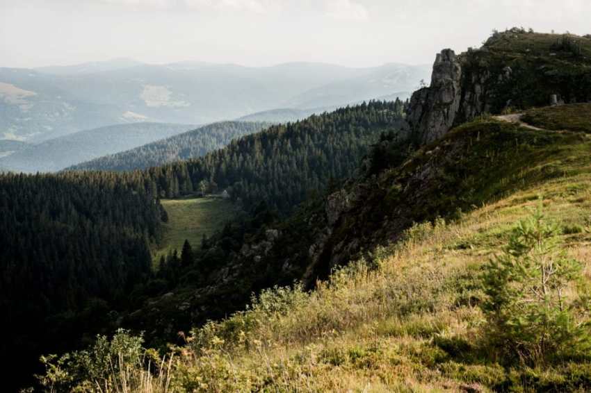 alsace, vosges, route des crêtes, montagne