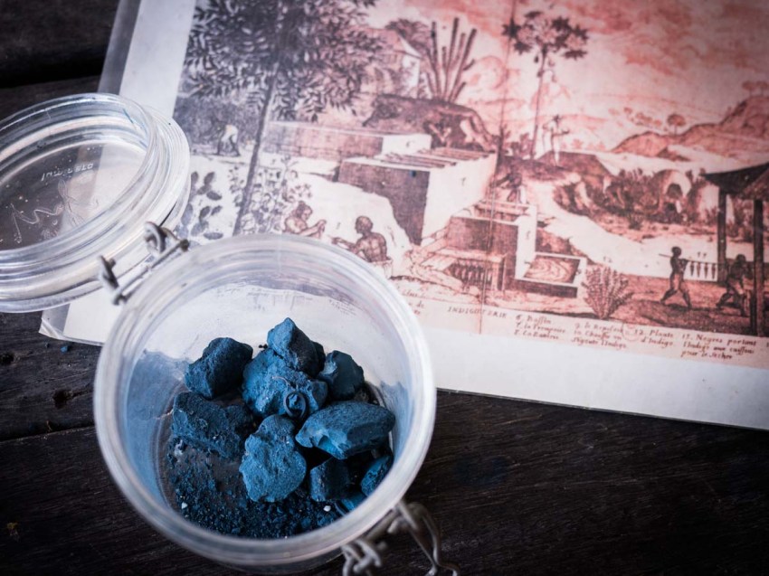 maison de l'indigo à Marie Galante - histoire de l'indigo en Guadeloupe - que voir à Marie Galante - que faire en Guadeloupe
