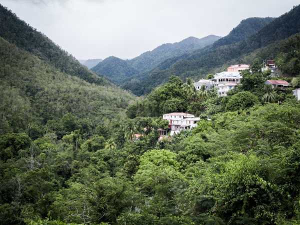 Carte postale de Guadeloupe - Photo de voyage dans la jungle et laforêt tropicale en guadeloupe