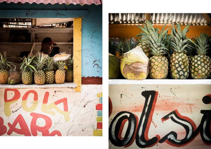 république dominicaine, samana, las terrenas, caraïbes, cayo levantado, los haitises