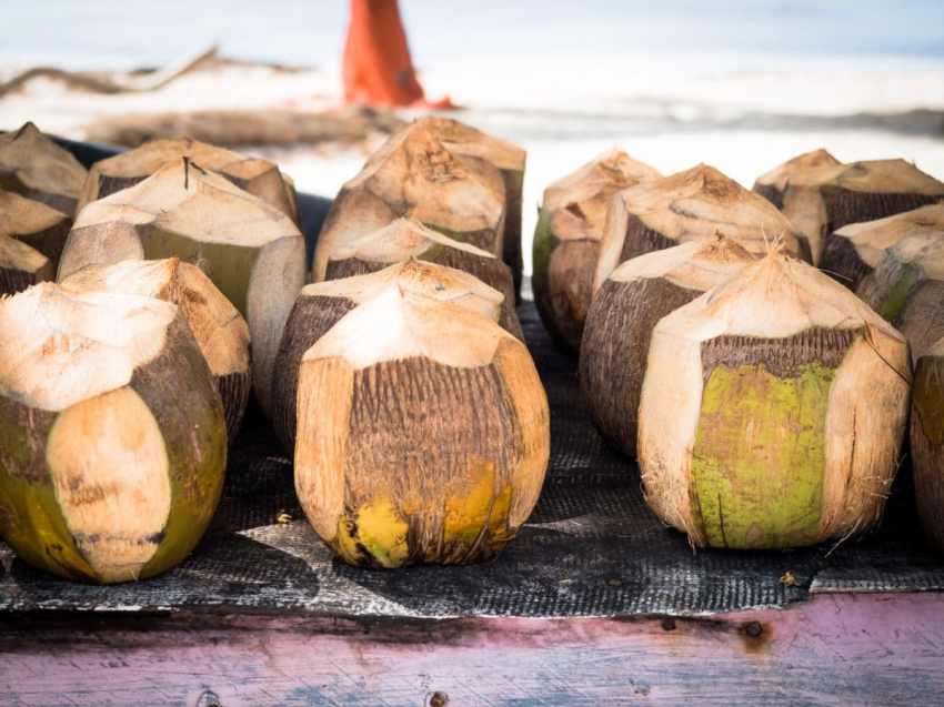 mano juan punta cana, noix de coco plage saona et plage bayahibe en republique dominicaine
