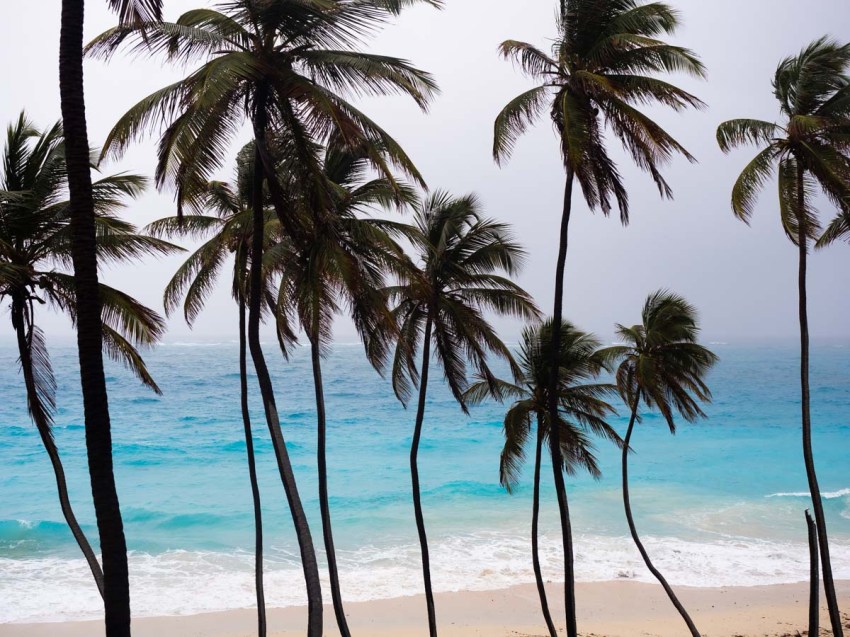 visiter la Barbade-plages paradisiaques- bottom bay