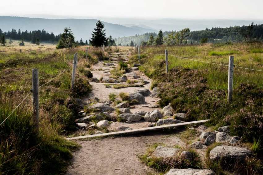 alsace, vosges, route des crêtes, montagne