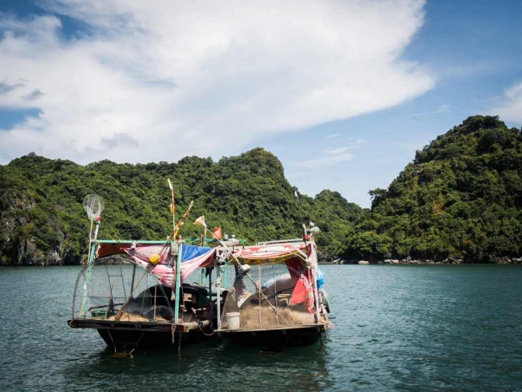 vietnam, bai tu long bay, baie d'halong