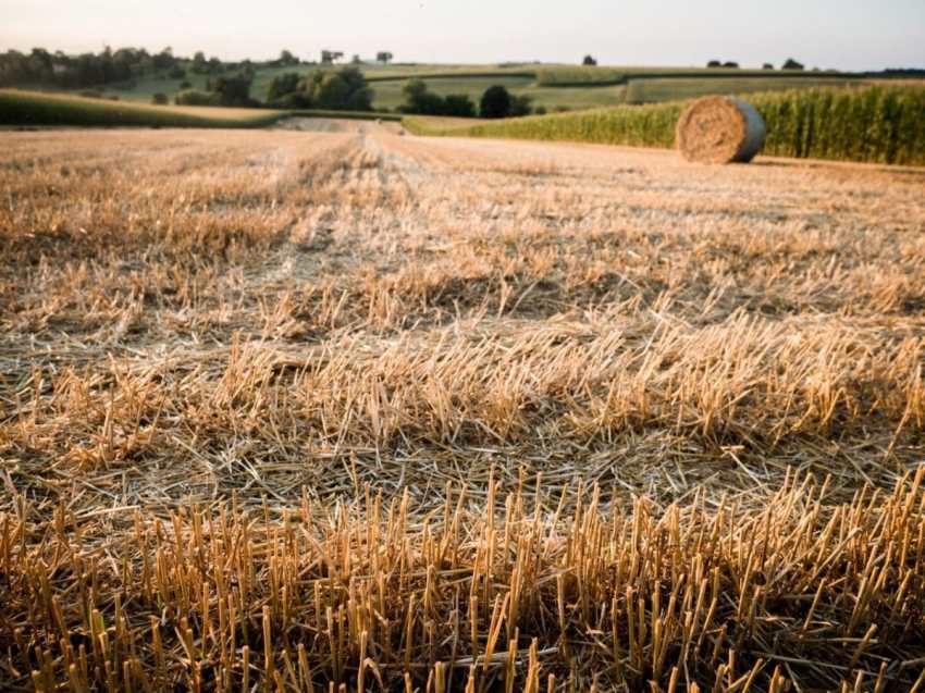 weekend alsace-séjour insolite alsace-moissons Alsacealsace road trip-alsace road trip