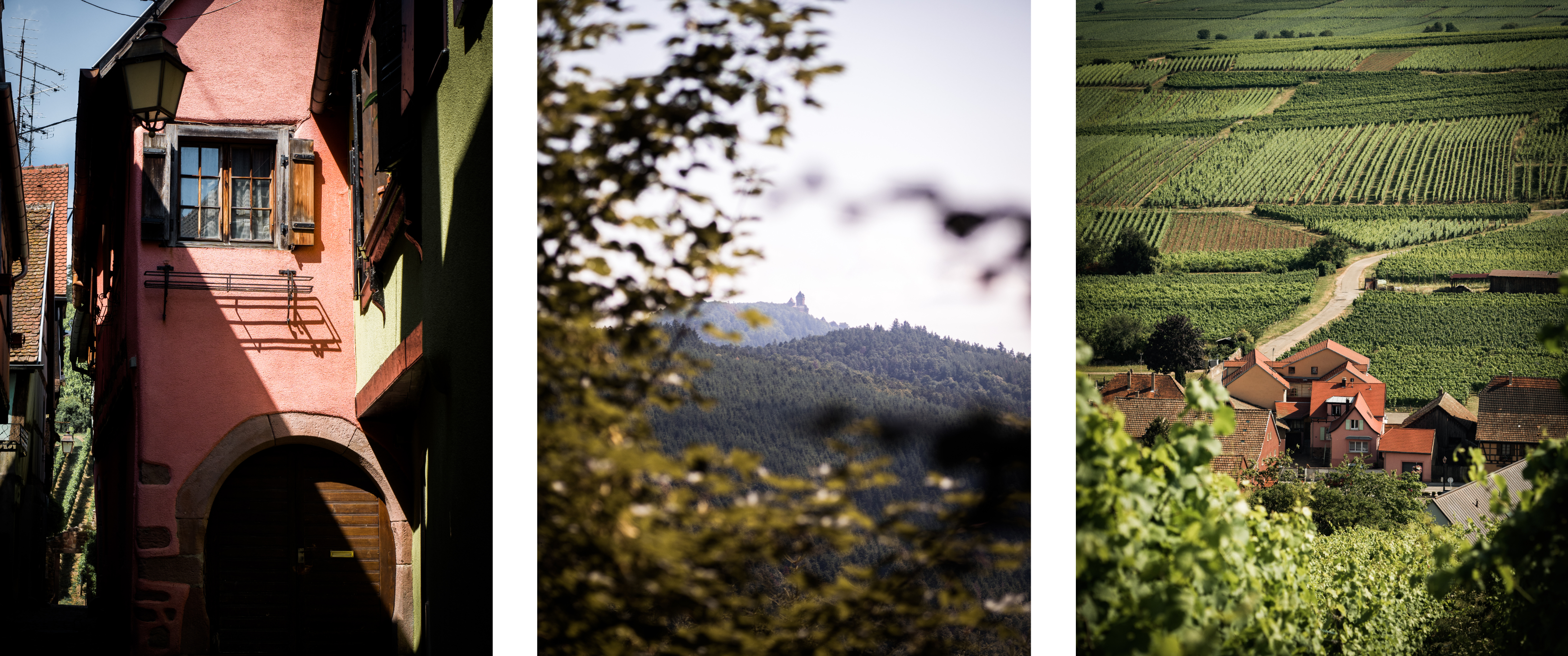 cabane dans les arbres en Alsace - pays de Ribauvillé et Riquewhir - que voir en Alsace