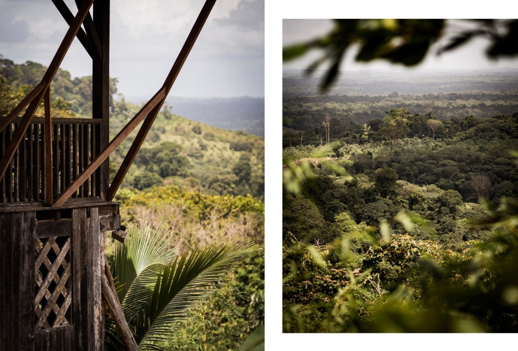 que voir en Guyane - village Hmong en Guyane - que faire à cacao - vue PK6- route de Roura Cacao