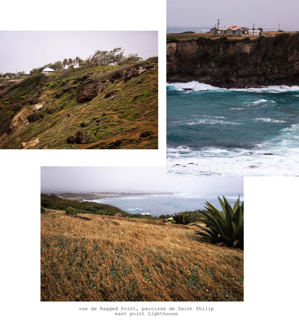 découvrir la barbade - ragged point - st philip- subduction des plaques