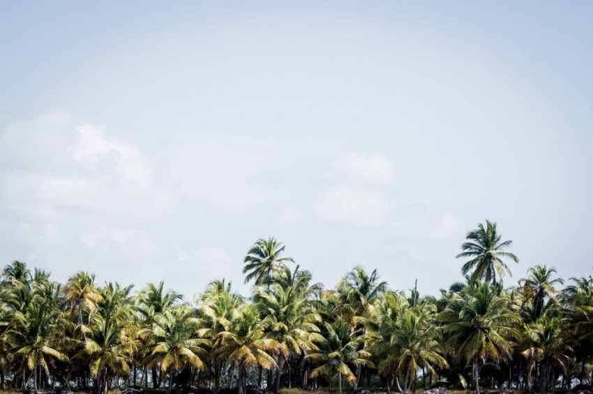 république dominicaine, bayahibe, saona, caraïbes