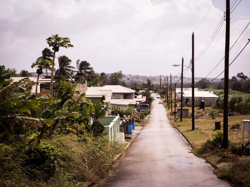 découvrir la barbade