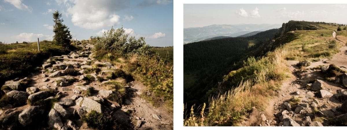 alsace, vosges, route des crêtes, montagne