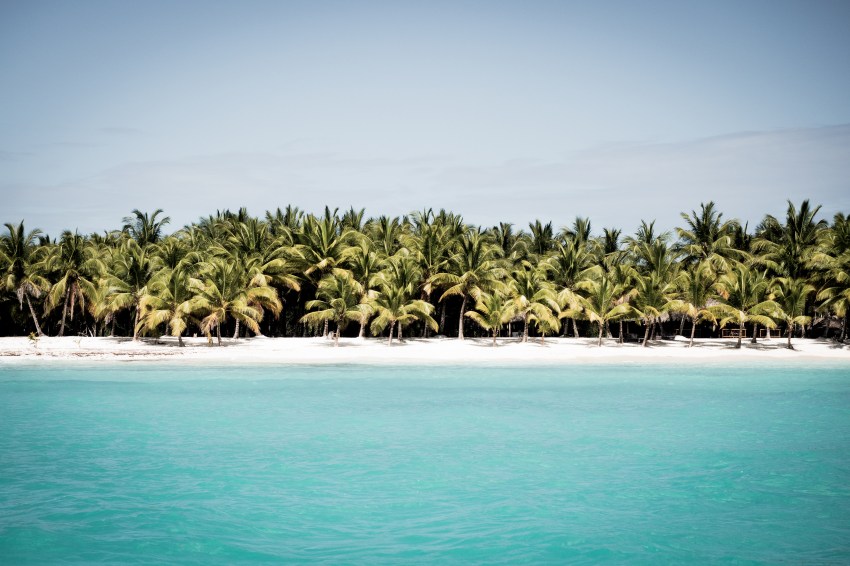 plage caraibes -photo de la mer des caraibes-plage saona republique dominicaine - plage paradisiaque 