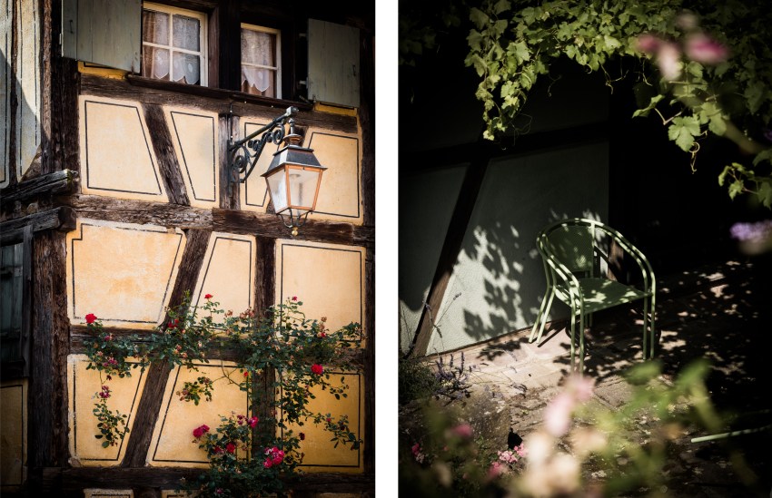 que faire en Alsace - pays de Ribeauvillé et Riquewihr - la route des vins en Alsace - ou dormir dans une cabane dans les arbres en Alsace