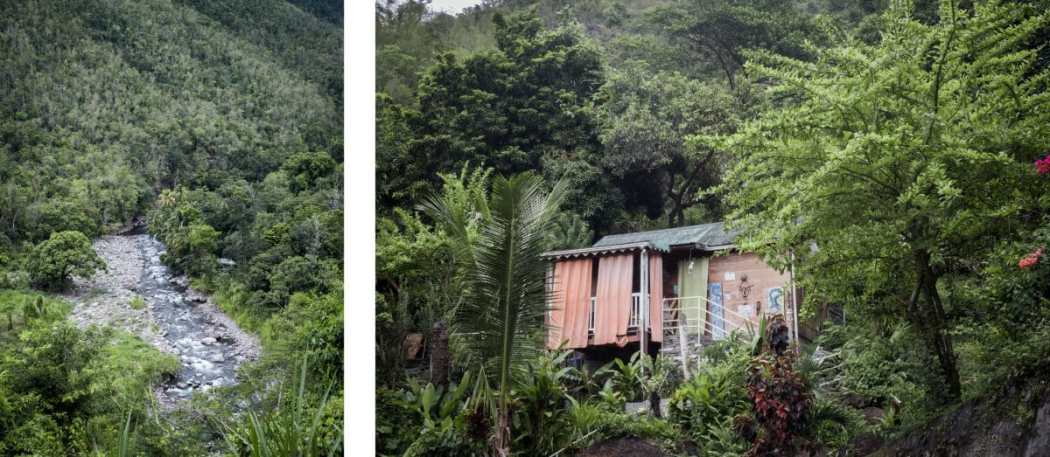 Plantation guadeloupe - plantation café guadeloupe
