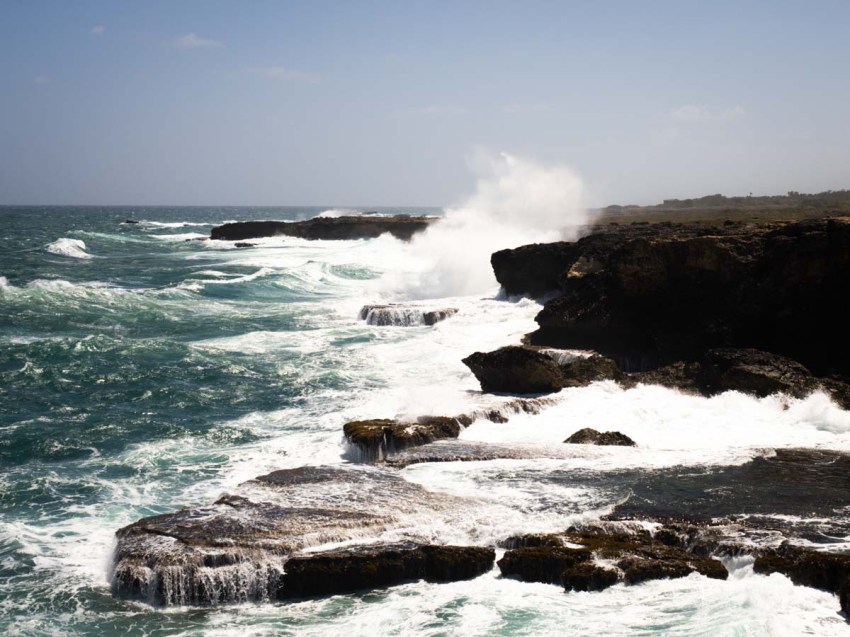découvrir la Barbade, caraïbes, antilles, animal flower cave