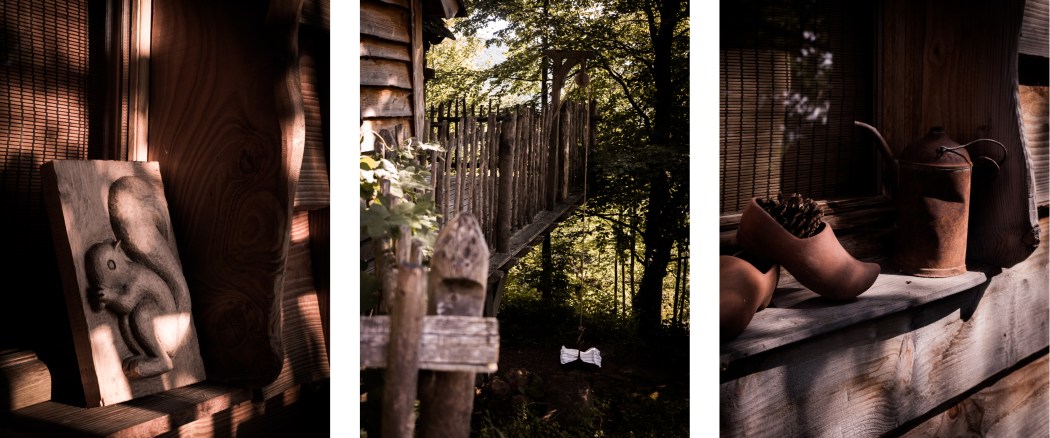 cabane perchée dans les arbres dans les Vosges