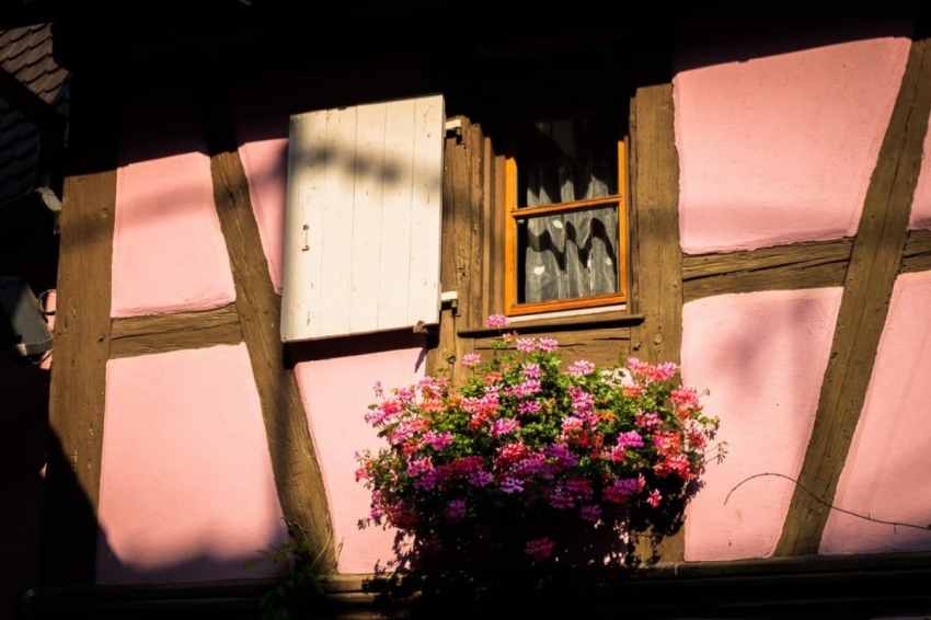 alsace, vosges, route des vins, vignobles, eguisheim 