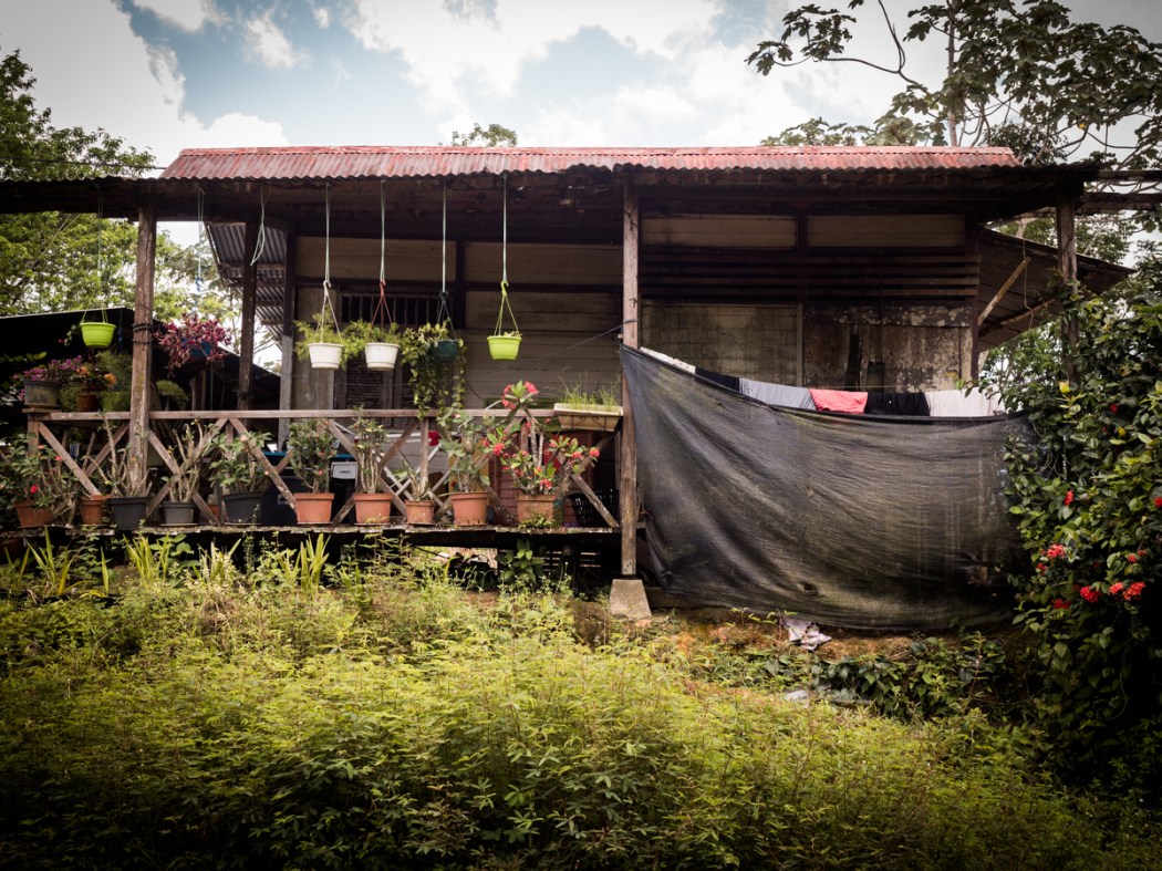 découvrir la Guyane - communauté asiatique en Guyane - village Hmong en Guyane - Asie en Guyane
