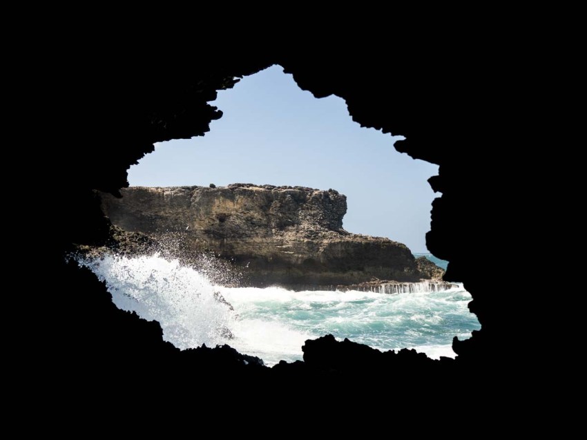 découvrir la barbade - grottes - animal flore cave