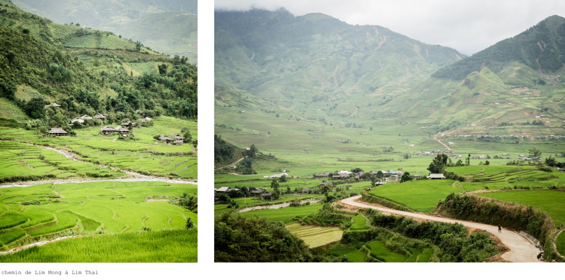 lim thai, lim mong, vietnam, rizières