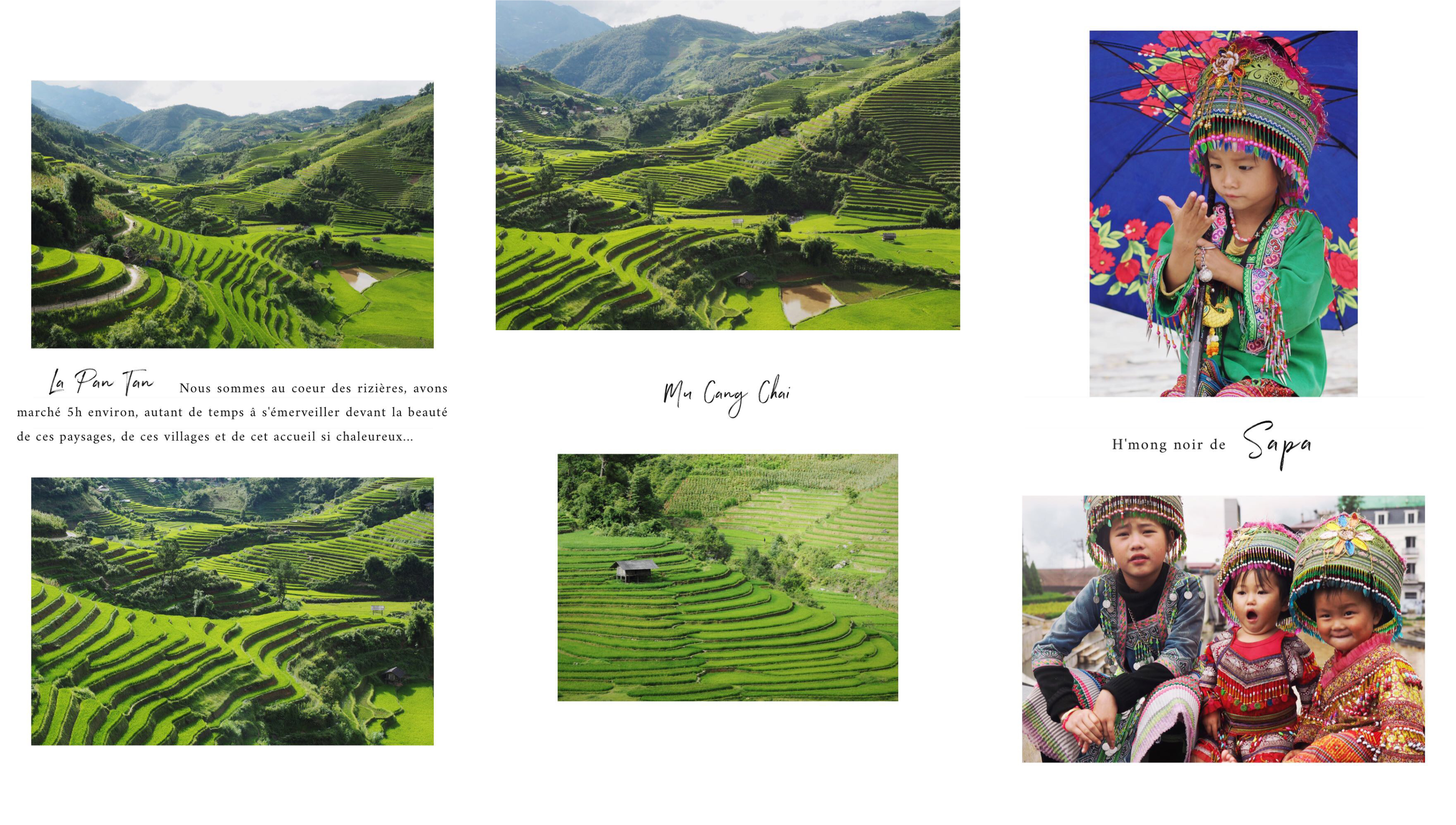 les rizières du nord du Vietnam