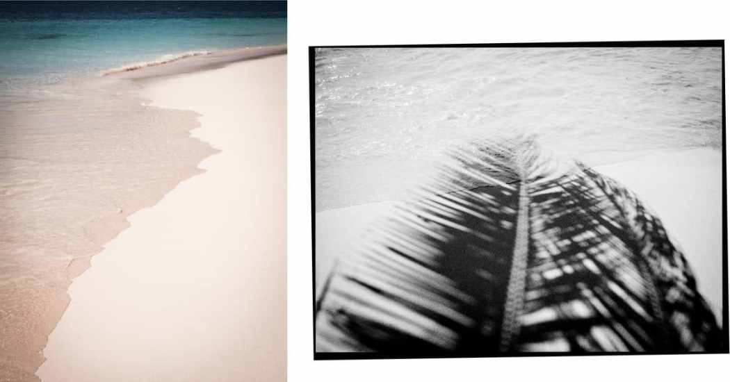 république dominicaine, samana, las terrenas, caraïbes, cayo levantado, los haitises