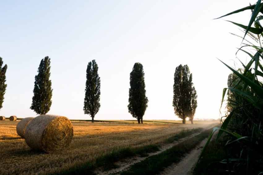 la route des cretes-vosges paysage-photos alsace vosges-campagne alsacienne