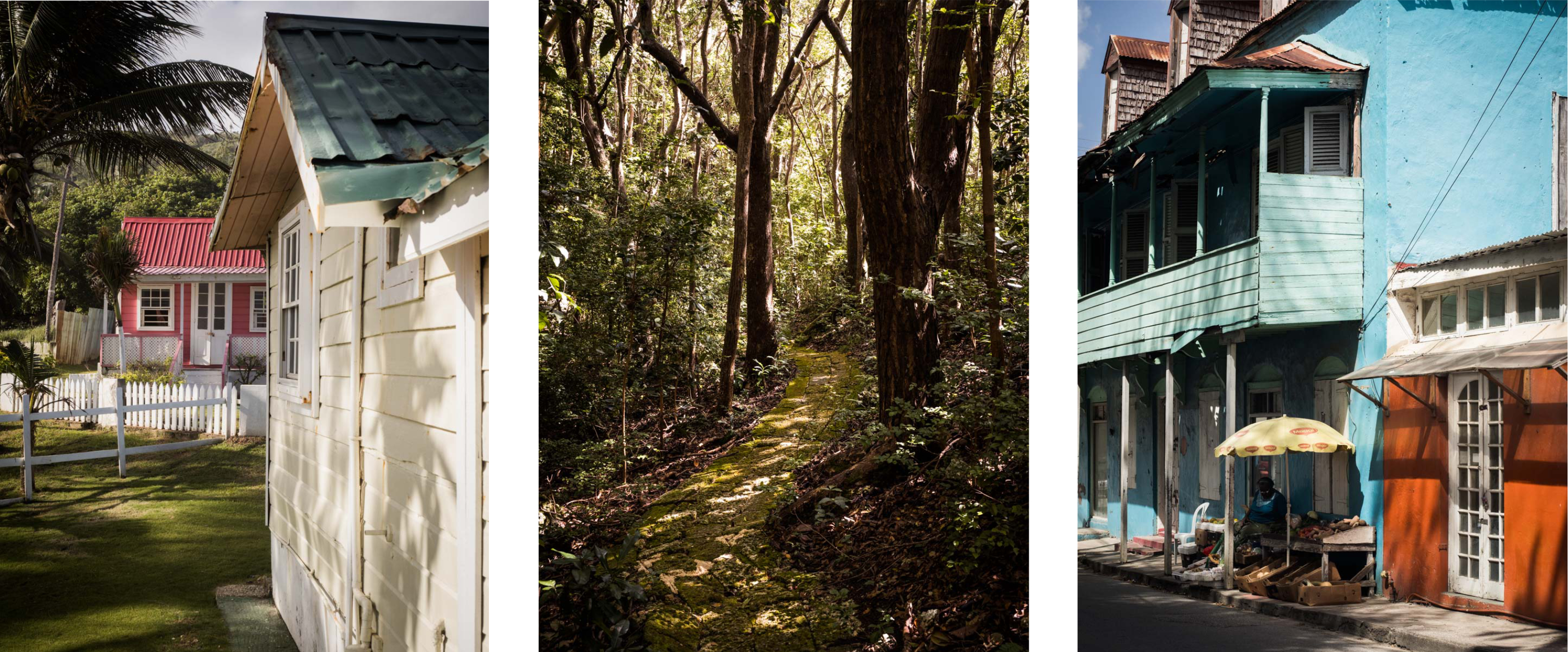 découvrir la barbade - architecture typique- antilles - jardin tropical - chattel house