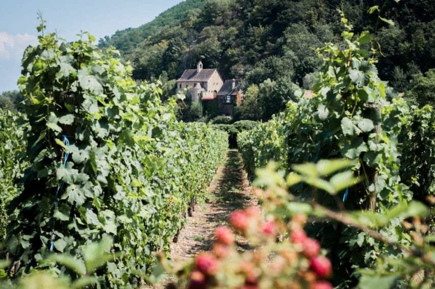 kaysersberg, route des vins, vosges, alsace