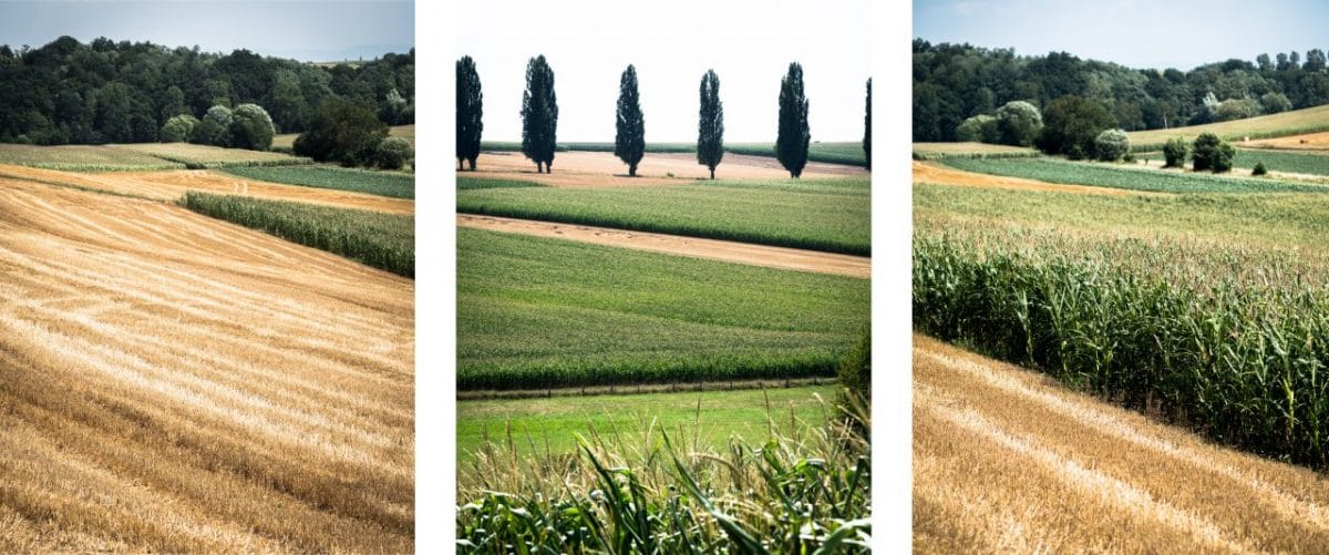 photo alsace-weekend alsace-village alsace