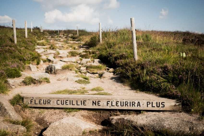 alsace, vosges, route des crêtes, montagne