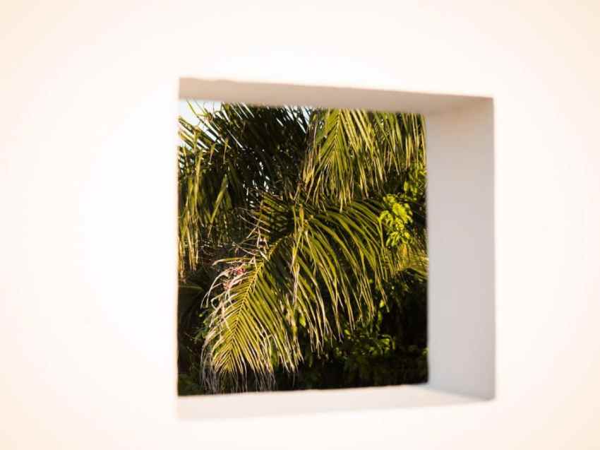 république dominicaine, bayahibe, saona, caraïbes