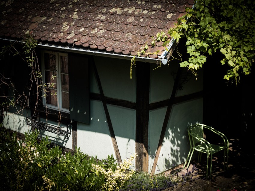 que faire en Alsace - pays de Ribeauvillé et Riquewihr - la route des vins en Alsace - ou dormir dans une cabane dans les arbres en Alsace